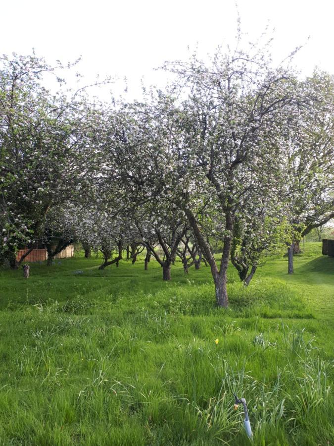 Holmwood Blackbrook House מראה חיצוני תמונה